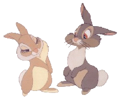 Gif 04