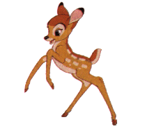 Gif 07