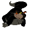 Gif 21