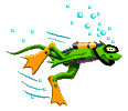 Gif 37