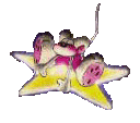 Gif 72
