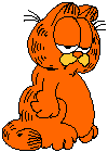 Immagine 01 Garfield
