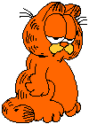 Gif 01