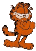 Gif 02