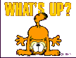 Gif 03