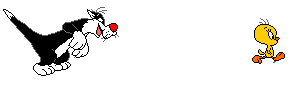 Gif 05