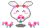 Gif 123