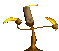 Gif 14