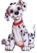 Gif 08
