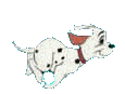 Gif 15