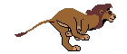 Gif 06