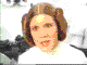 Gif 04