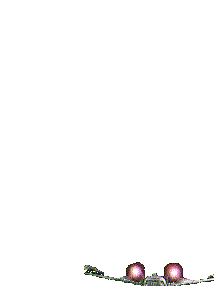 Gif 16