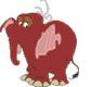 Gif 03