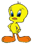 Gif 04