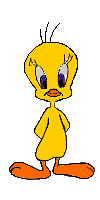 Gif 05
