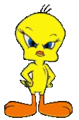 Gif 06