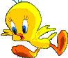 Gif 08