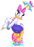 Gif 84