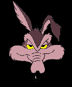 Gif 05
