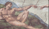 Gif 51