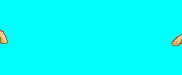 Gif 52