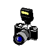 Gif 23