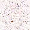 Gif 260