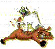 Gif 45