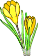 Gif 81