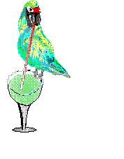 Gif 06