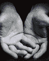 Gif 08