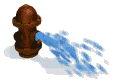 Gif 11