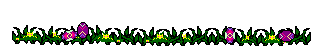 Gif 80