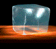 Gif 81