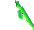 Gif 96