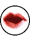Gif 03