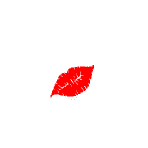 Gif 05