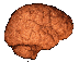 Gif 04