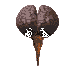 Gif 05