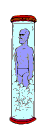 Gif 09