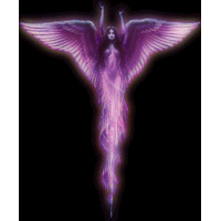 Gif 74