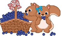 Gif 06