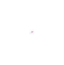 Gif 105