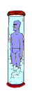 Gif 123