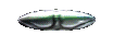 Gif 20
