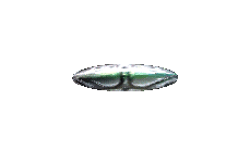 Gif 22