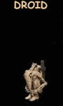 Gif 29