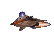 Gif 84