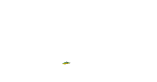 Gif 98